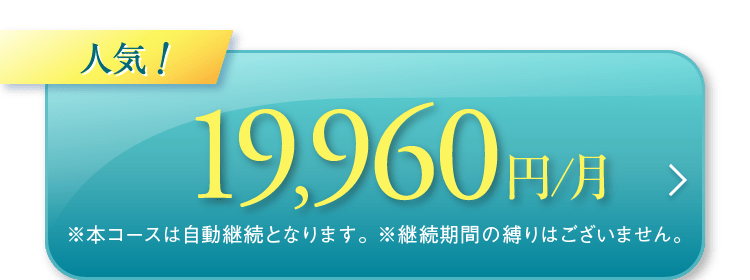 19,960円/月
